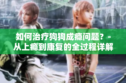 如何治疗狗狗成瘾问题？-从上瘾到康复的全过程详解
