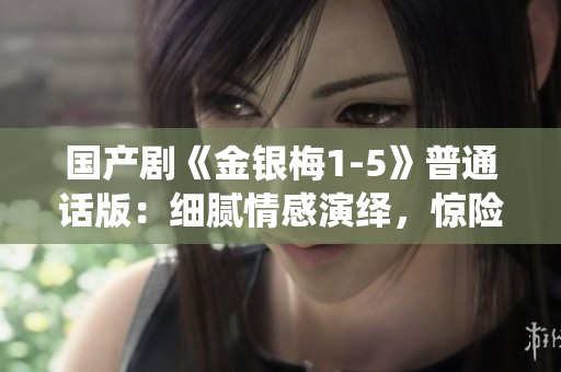 国产剧《金银梅1-5》普通话版：细腻情感演绎，惊险刺激剧情展开