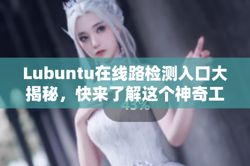 Lubuntu在线路检测入口大揭秘，快来了解这个神奇工具吧