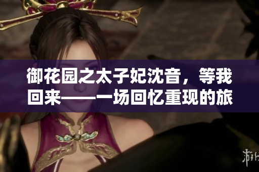 御花园之太子妃沈音，等我回来——一场回忆重现的旅程