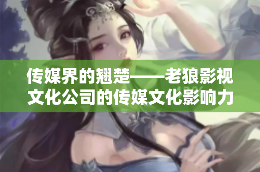 传媒界的翘楚——老狼影视文化公司的传媒文化影响力