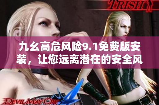 九幺高危风险9.1免费版安装，让您远离潜在的安全风险