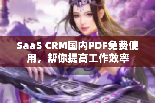 SaaS CRM国内PDF免费使用，帮你提高工作效率