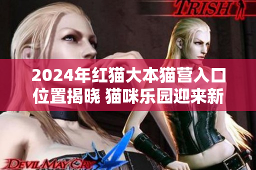 2024年红猫大本猫营入口位置揭晓 猫咪乐园迎来新地标