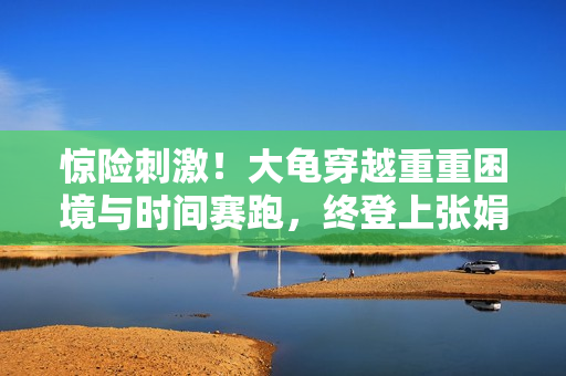 惊险刺激！大龟穿越重重困境与时间赛跑，终登上张娟征！