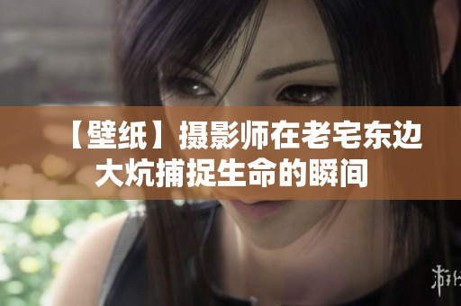 【壁纸】摄影师在老宅东边大炕捕捉生命的瞬间