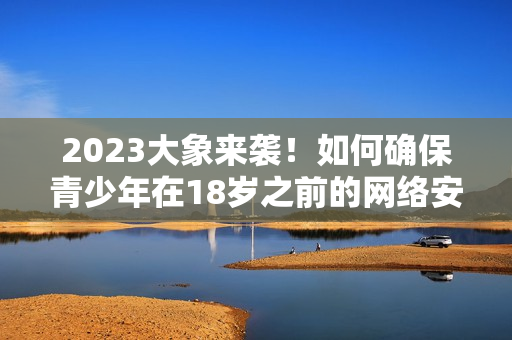 2023大象来袭！如何确保青少年在18岁之前的网络安全？