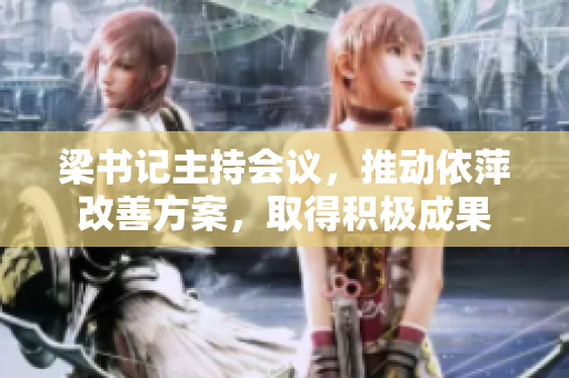 梁书记主持会议，推动依萍改善方案，取得积极成果