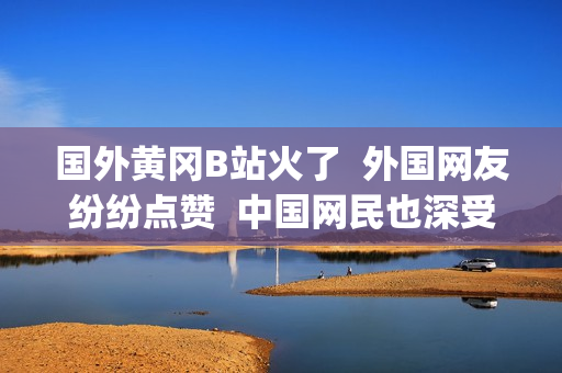 国外黄冈B站火了  外国网友纷纷点赞  中国网民也深受感染(1)
