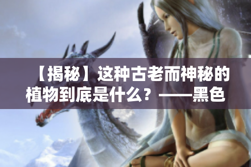 【揭秘】这种古老而神秘的植物到底是什么？——黑色坚硬蘑菇头解密