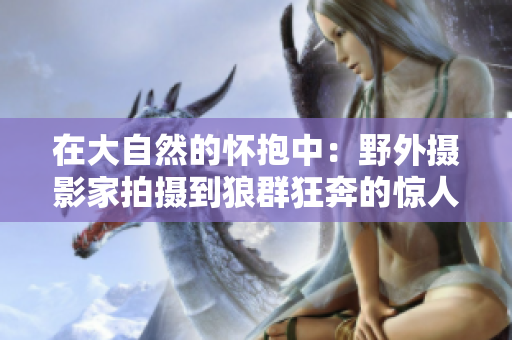 在大自然的怀抱中：野外摄影家拍摄到狼群狂奔的惊人视频