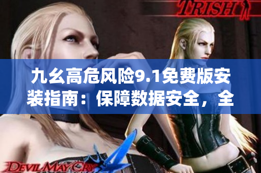 九幺高危风险9.1免费版安装指南：保障数据安全，全面应对潜在风险(1)