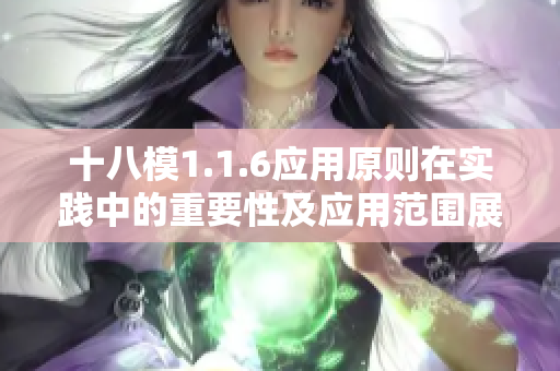 十八模1.1.6应用原则在实践中的重要性及应用范围展望
