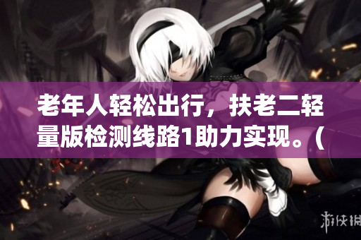 老年人轻松出行，扶老二轻量版检测线路1助力实现。(1)