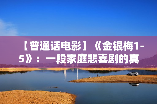 【普通话电影】《金银梅1-5》：一段家庭悲喜剧的真实揭露