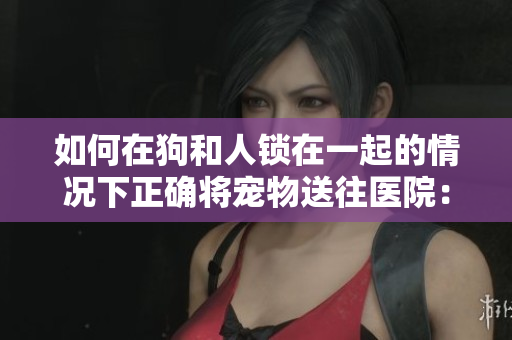 如何在狗和人锁在一起的情况下正确将宠物送往医院：重要提示与建议