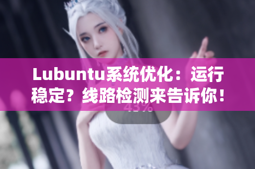 Lubuntu系统优化：运行稳定？线路检测来告诉你！
