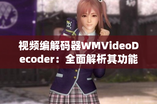 视频编解码器WMVideoDecoder：全面解析其功能与应用领域(1)