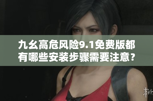 九幺高危风险9.1免费版都有哪些安装步骤需要注意？