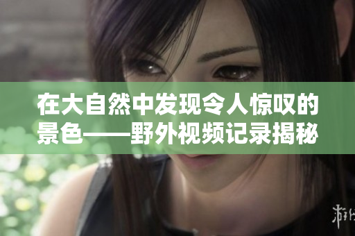 在大自然中发现令人惊叹的景色——野外视频记录揭秘