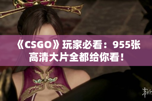 《CSGO》玩家必看：955张高清大片全都给你看！