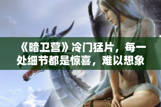 《暗卫营》冷门猛片，每一处细节都是惊喜，难以想象的阴谋与权谋争斗！