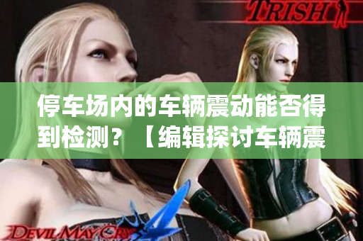 停车场内的车辆震动能否得到检测？【编辑探讨车辆震动检测的可行性】(1)