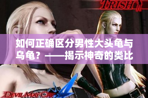 如何正确区分男性大头龟与乌龟？——揭示神奇的类比现象