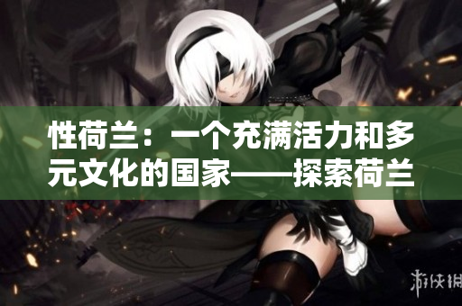 性荷兰：一个充满活力和多元文化的国家——探索荷兰的风情