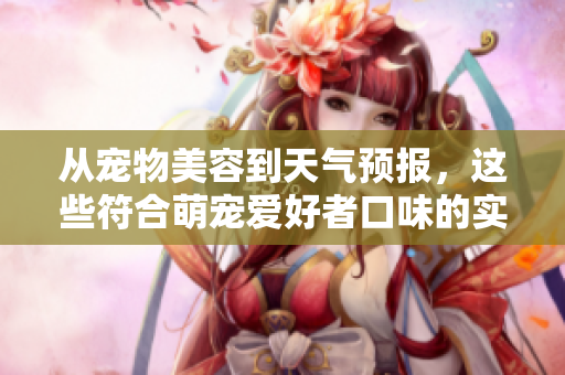 从宠物美容到天气预报，这些符合萌宠爱好者口味的实用小贴士