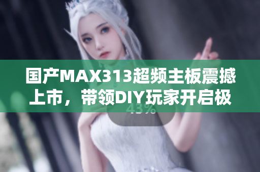 国产MAX313超频主板震撼上市，带领DIY玩家开启极限体验