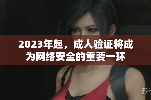 2023年起，成人验证将成为网络安全的重要一环