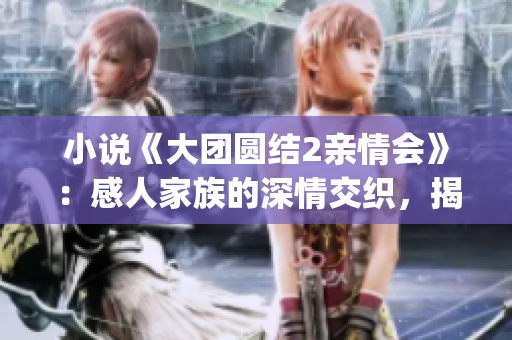 小说《大团圆结2亲情会》：感人家族的深情交织，揭开亲情之谜(1)