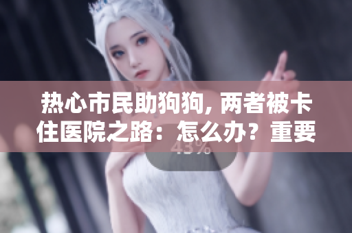 热心市民助狗狗, 两者被卡住医院之路：怎么办？重要提示!