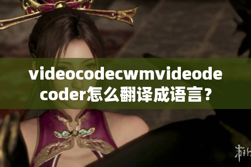 videocodecwmvideodecoder怎么翻译成语言？