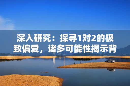 深入研究：探寻1对2的极致偏爱，诸多可能性揭示背后隐情