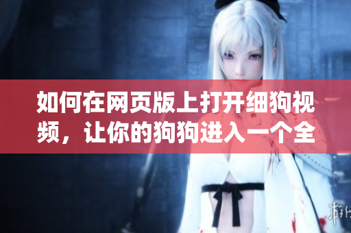 如何在网页版上打开细狗视频，让你的狗狗进入一个全新的世界(1)