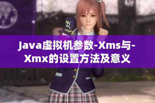 Java虚拟机参数-Xms与-Xmx的设置方法及意义
