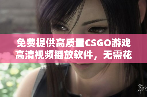 免费提供高质量CSGO游戏高清视频播放软件，无需花费一分钱！
