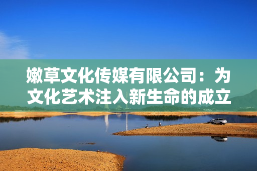 嫩草文化传媒有限公司：为文化艺术注入新生命的成立故事