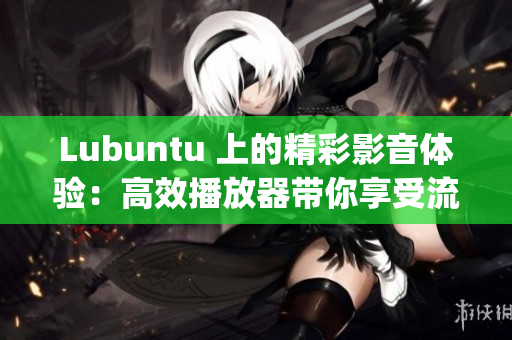 Lubuntu 上的精彩影音体验：高效播放器带你享受流畅视听(1)