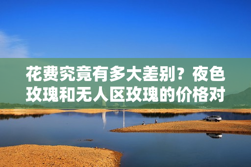 花费究竟有多大差别？夜色玫瑰和无人区玫瑰的价格对比