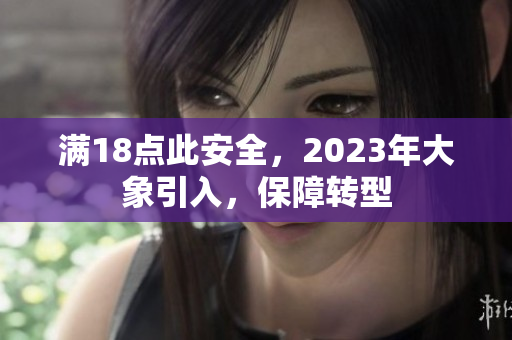 满18点此安全，2023年大象引入，保障转型