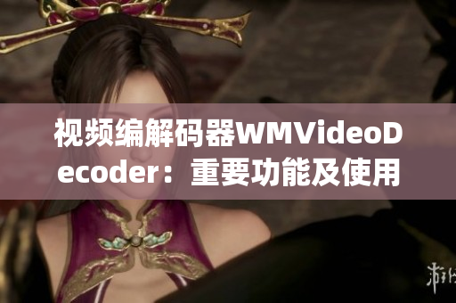 视频编解码器WMVideoDecoder：重要功能及使用场景详解(1)