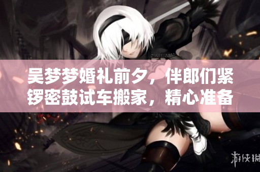 吴梦梦婚礼前夕，伴郎们紧锣密鼓试车搬家，精心准备喜庆之日
