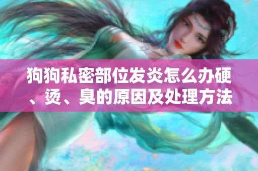 狗狗私密部位发炎怎么办硬、烫、臭的原因及处理方法