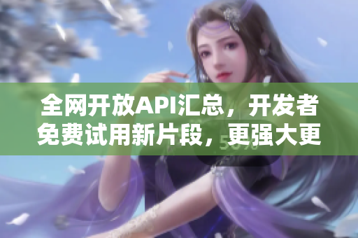 全网开放API汇总，开发者免费试用新片段，更强大更丰富的数据服务