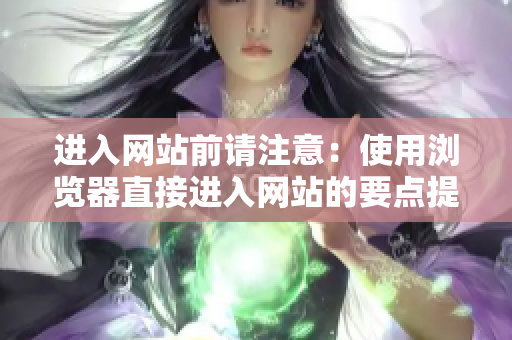 进入网站前请注意：使用浏览器直接进入网站的要点提示
