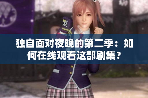 独自面对夜晚的第二季：如何在线观看这部剧集？