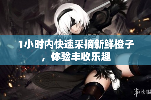 1小时内快速采摘新鲜橙子，体验丰收乐趣